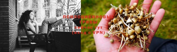кокаин колумбия Вязьма