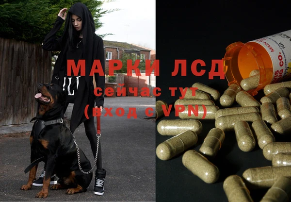 первитин Володарск