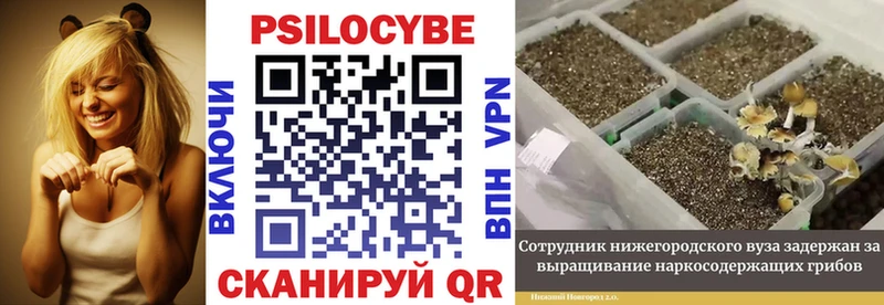 Галлюциногенные грибы MAGIC MUSHROOMS  Ермолино 